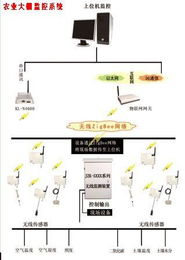 昆仑海岸携手现代农业创新基地，智慧农业再提速物联网技术研发