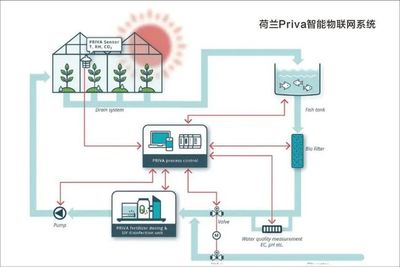 浙江&ldquo;新田铺&rdquo;智慧农业蔬果工厂 正式投产运行